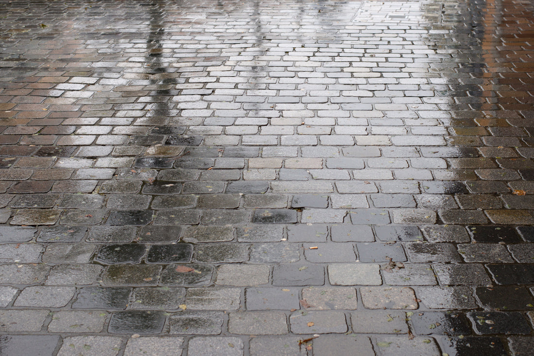 Why Homeowners Are Obsessed with These 6 Paving Stone Trends in 2025