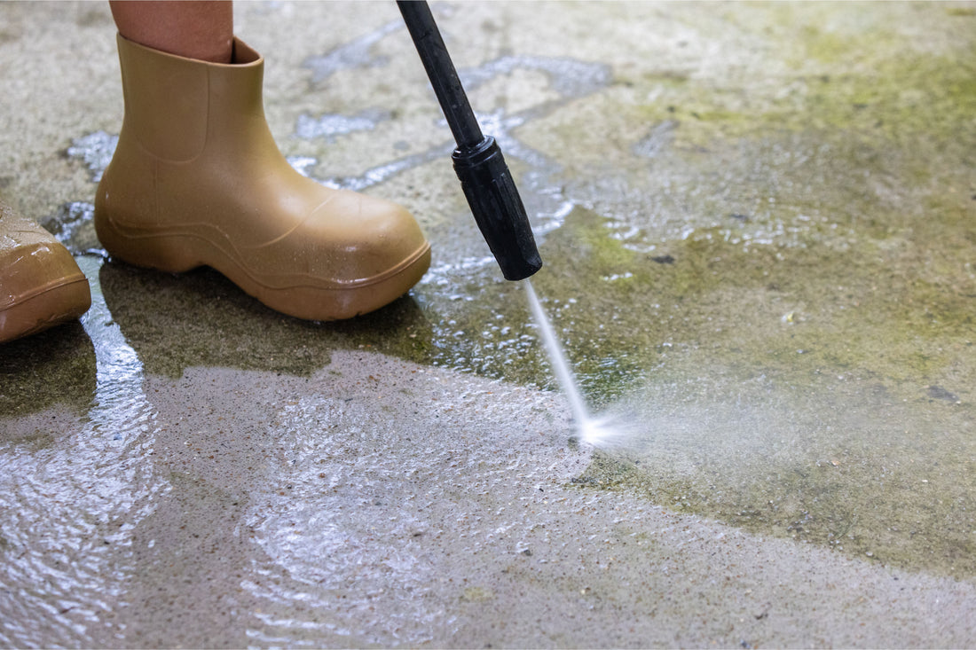 Is Your Patio Turning Green? Tackle Algae and Moss Before Spring Arrives