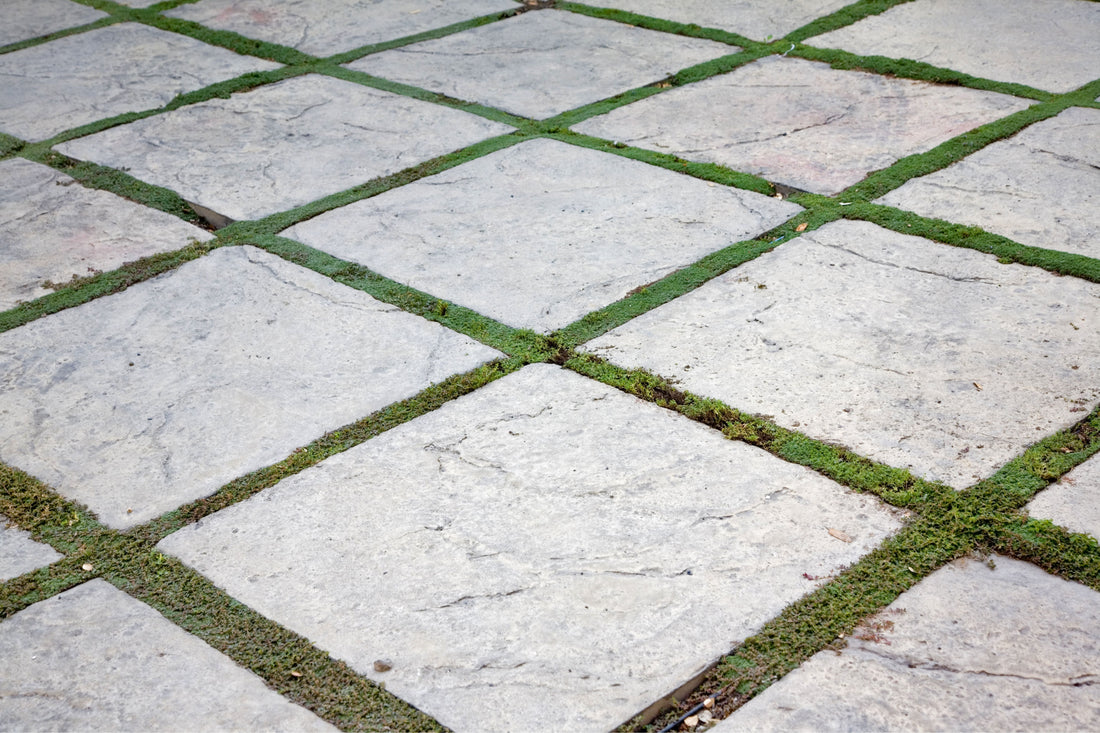 The Complete Guide to Choosing Slip-Resistant Paving for Pool Areas and Wet Zones